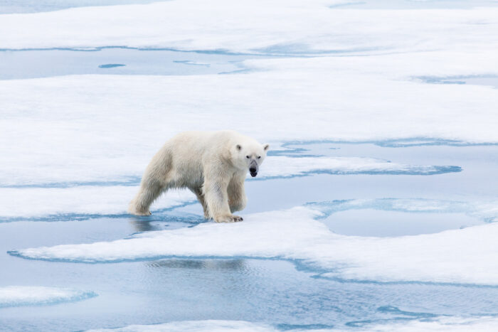 crowdfunding for the planet