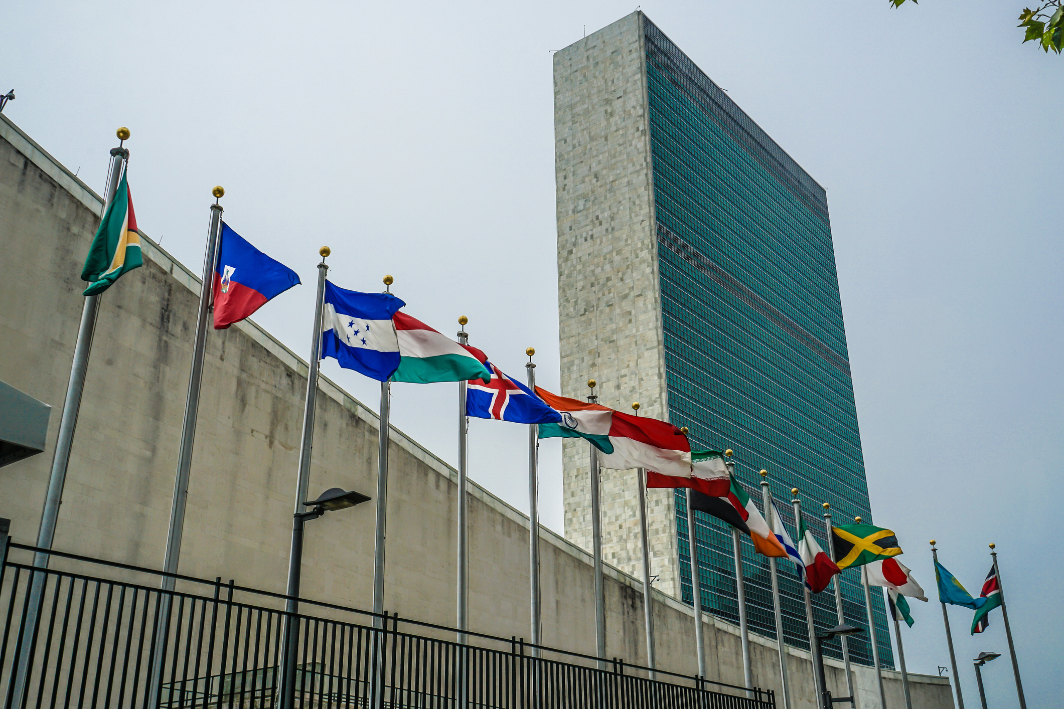 What are the differences between ESG and the UN SDGs?