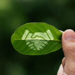 impact investing vs esg investing