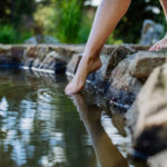 Testing the Waters in Crowdfundin