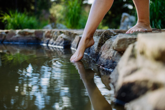 Testing the Waters in Crowdfundin