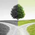 funding portal or broker dealer