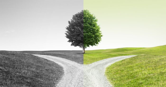 funding portal or broker dealer